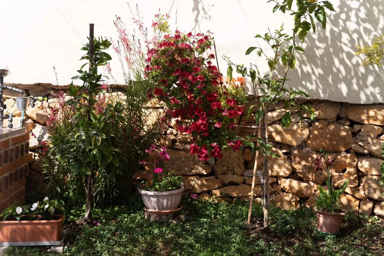 Studio Apartment In Vrsar I Croatia